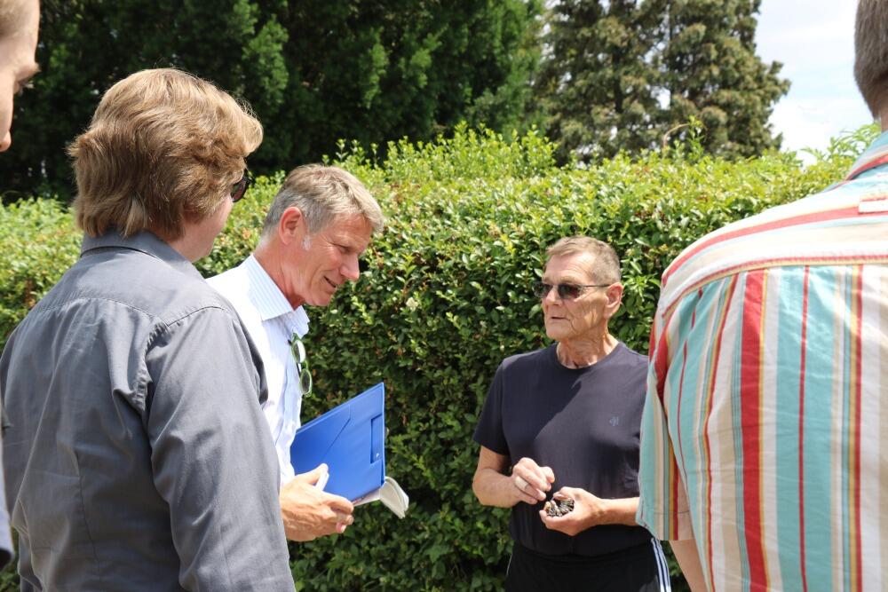 KleingartenWettbewerb der Stadt Mannheim Mannheim.de